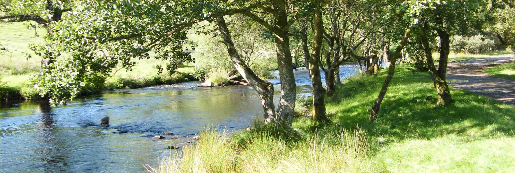 Gallery River Doon District Salmon Fishery Board