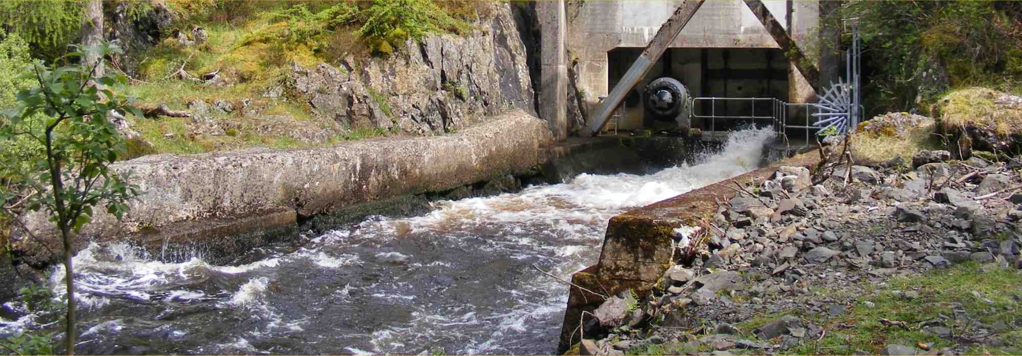 Environment – River Doon District Salmon Fishery Board