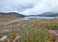 Loch Doon-A1100x800