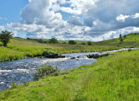 River Doon pools 074-A1100x800