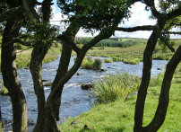 River Doon pools 087-A1100x800