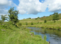 River Doon pools 092-A1100x800