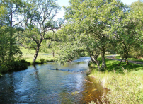 River Doon pools 148-A1100x800