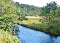 River Doon pools 151-A1100x800